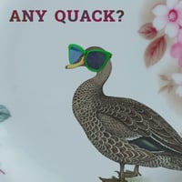 Image 2 of Any quack? (Ref. 598)