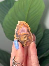 TRANSPARENT SCEANIC LAGUNA AGATE
