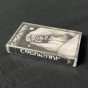 Image of Cognizant - Inexorable Nature of Adversity CS