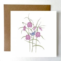 Image 1 of FRITILLARY BLANK CARD