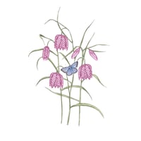 Image 3 of FRITILLARY BLANK CARD