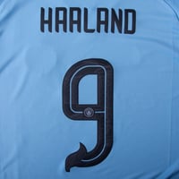 Image 1 of Haaland 9 (Chinese New Year Edition) - 23-24 Man City Home/Away Print