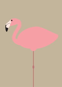 Image 2 of Flamingos Collection