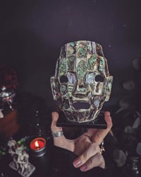 Image 3 of Abalone Mask