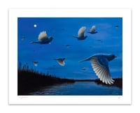 "Indigo" Limited Edition Print