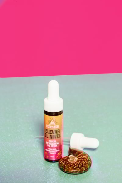 Image of Elevar El Nivel Elixir De Esencia De Gema