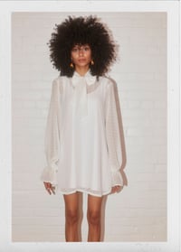 Image 2 of Alexa Mini Dress