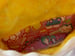 Image of Groovy Cat Fanny Pack