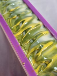 Image 2 of Lemon Scented Myrtle 