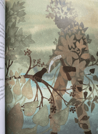Image 6 of The Green Man book illustrated by Mary Fedden
