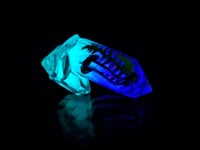 Image 1 of  DAY/NIGHT Shroom Pendant 01