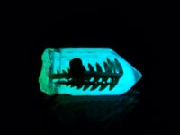 Image 3 of DAY/NIGHT Shroom Pendant 03