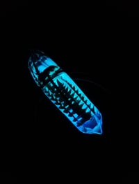 Image 1 of DAY/NIGHT Shroom Pendant 06