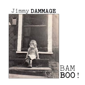 Image of Jimmy Dammage – Bam Boo! LP (clear with black smoke)