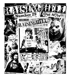 Image of RAISING HELL Issue 29 