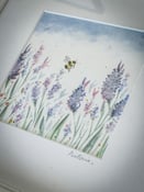 Image of Summer Meadow Watercolour Workshop