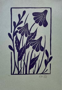 Image 2 of Daisies Print