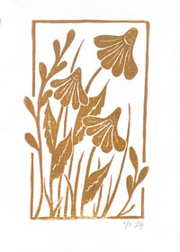 Image 1 of Daisies Print