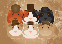 Image 2 of Guinea Pig Collection