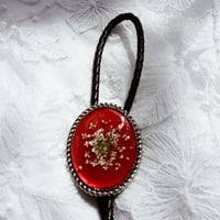 Image 1 of Queens Lace (red)