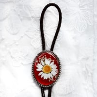 Daisy & Queens Lace (red)