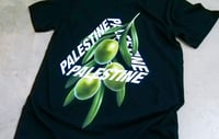 Image 2 of Palestine Olives