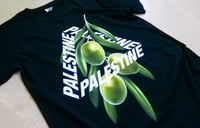 Image 3 of Palestine Olives