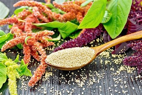 KEEN-WAH/KAN-YI-WA/AM-UR-RANTH/kah-MOOT Diabetes-Cholesterol-Muscle-Quercetin-Bone-Toxins-Anemia