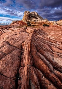 The Spine