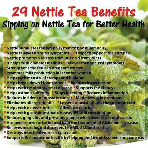 Ahhh-Chooo! Allergies-Detoxer-Bones-Blood Sugar-Blood Pressure-Respiratory-Adaptogen-Bones-Pain