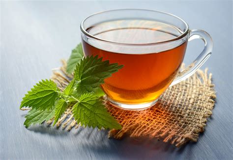 MENO-PAUSE! Menopause-Hot Flashes-Bones-Blood Pressure-Blood Sugar-Kidney/Bladder-Anemia-Thyroid