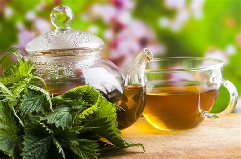 MENO-PAUSE! Menopause-Hot Flashes-Bones-Blood Pressure-Blood Sugar-Kidney/Bladder-Anemia-Thyroid