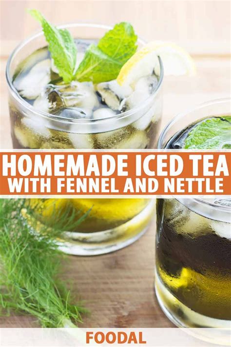 MENO-PAUSE! Menopause-Hot Flashes-Bones-Blood Pressure-Blood Sugar-Kidney/Bladder-Anemia-Thyroid