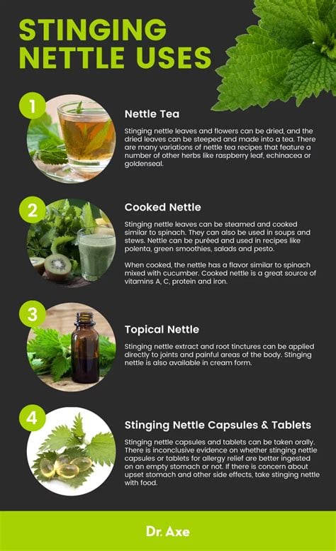 MENO-PAUSE! Menopause-Hot Flashes-Bones-Blood Pressure-Blood Sugar-Kidney/Bladder-Anemia-Thyroid