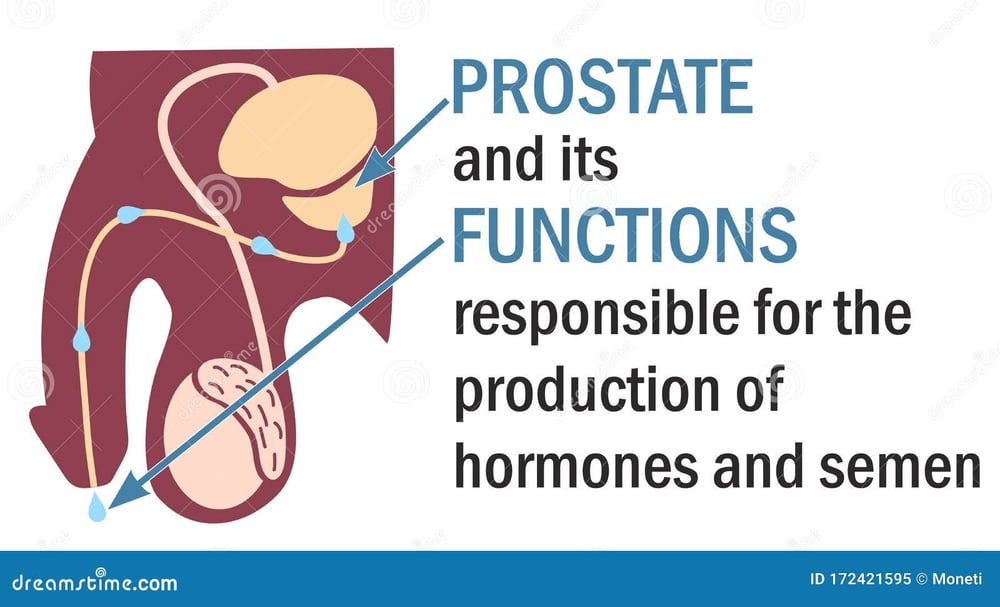 PROS-TATE! Prostate-Blood Pressure-Blood Sugar-Detoxer-Hair Loss-Eczema-Osteoarthrits