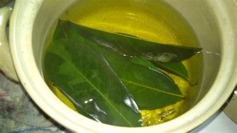 Wild Soursop Leaves/Fruit Powder. Pain-Stress-Immunity-Insomnia-Parasites-Bone-Chemo-Fibromyalgia