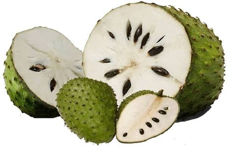 Wild Soursop Leaves/Fruit Powder. Pain-Stress-Immunity-Insomnia-Parasites-Bone-Chemo-Fibromyalgia