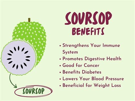 Wild Soursop Leaves/Fruit Powder. Pain-Stress-Immunity-Insomnia-Parasites-Bone-Chemo-Fibromyalgia