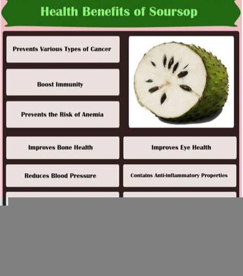 Wild Soursop Leaves/Fruit Powder. Pain-Stress-Immunity-Insomnia-Parasites-Bone-Chemo-Fibromyalgia