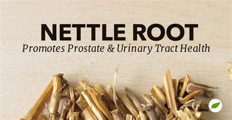 PROS-TATE! Prostate-Blood Pressure-Blood Sugar-Detoxer-Hair Loss-Eczema-Osteoarthrits