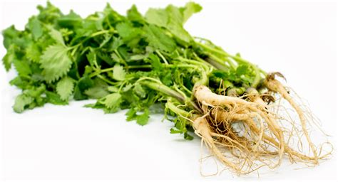 PROS-TATE! Prostate-Blood Pressure-Blood Sugar-Detoxer-Hair Loss-Eczema-Osteoarthrits
