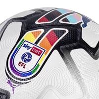Image 3 of Puma Orbita 1 EFL Sky Bet Ball (FIFA Quality Pro)