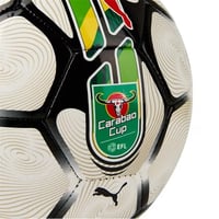 Image 3 of Puma Orbita 6 Carabao Cup 2023/24 Football