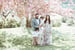 Image of Kwanzan Cherry Blossom Mini Sessions Spring 2024
