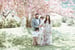 Image of Kwanzan Cherry Blossom Mini Sessions Spring 2026 - COMING SOON