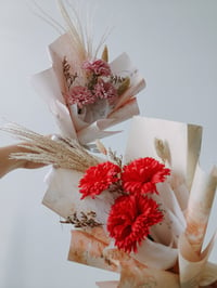 Carnations Bouquet with Preserved Fillers 