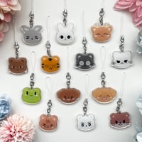 Image 1 of Seventeen Mini Charms