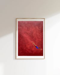 Image 1 of Life - Down