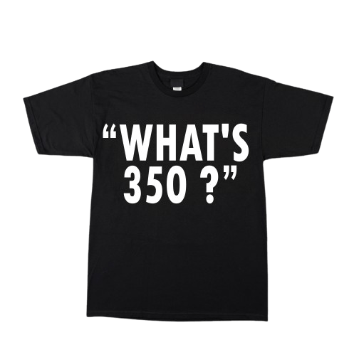 Image of WHATS 350? TEE 
