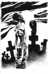 Image 1 of The Crow Wild Justice Original Art